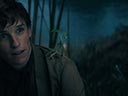 Fantastyczne zwierzęta: Historia naturalna film