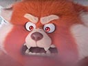 To nie wypanda film