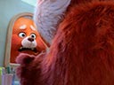 To nie wypanda film