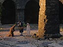 The Secret Kingdom film