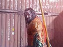 Aquaman i Zaginione Królestwo film
